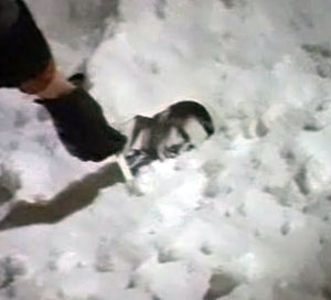 Кадр из фильма